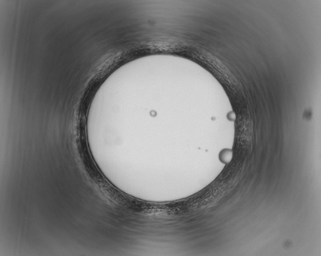 X0000116680738201001111331