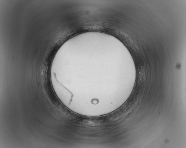 X0000116680739201001111331