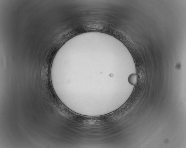 X0000116680745201001111331