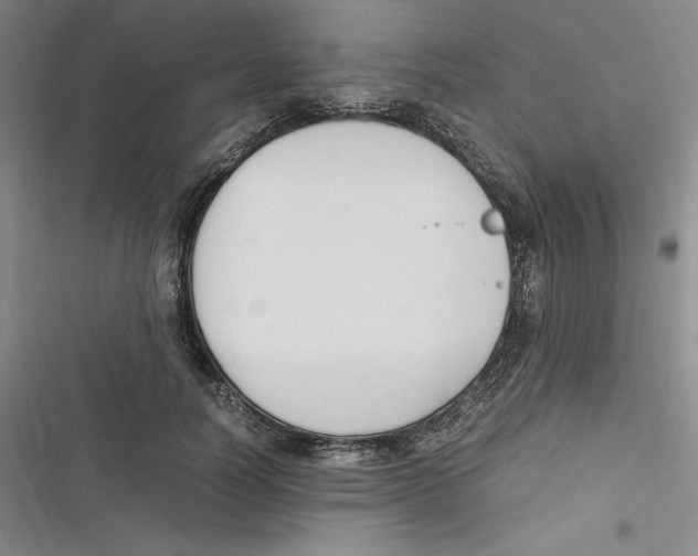 X0000116680746201001111331