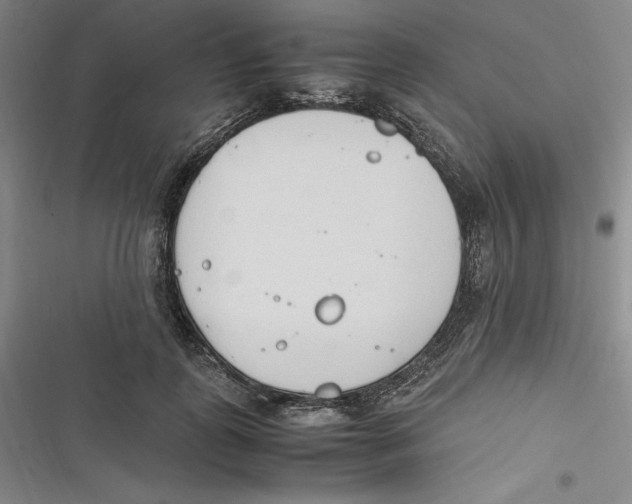 X0000116680747201001111331