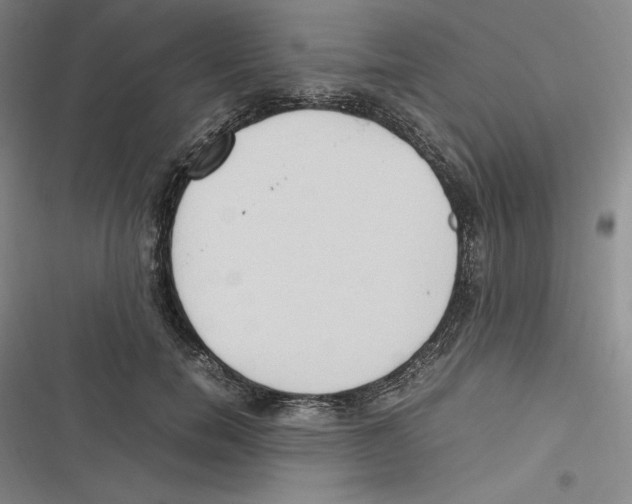 X0000116680750201001111331