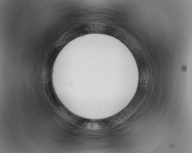 X0000116680751201001111331