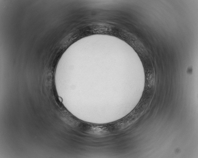 X0000116680753201001111331