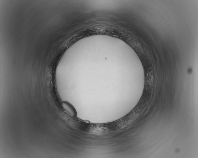 X0000116680754201001111331