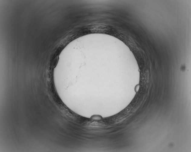 X0000116680755201001111331