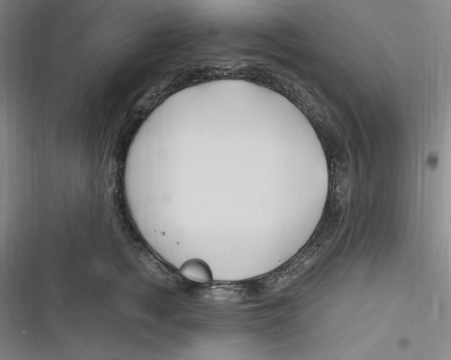 X0000116680758201001111331