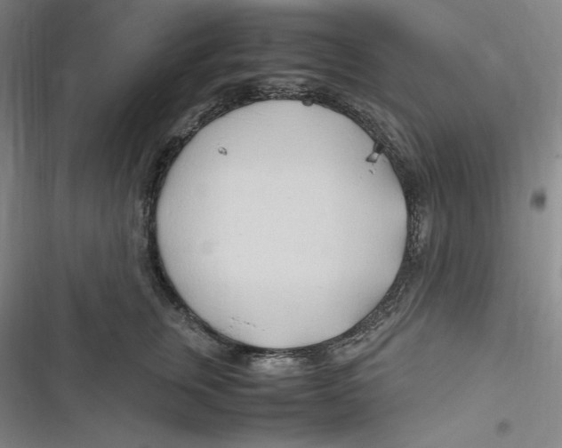 X0000116680759201001111331