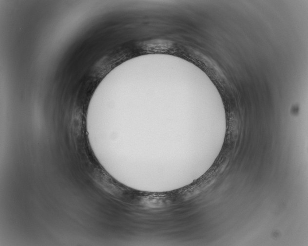 X0000116680761201001111331