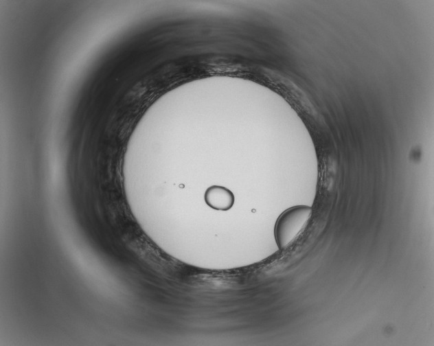 X0000116680763201001111331