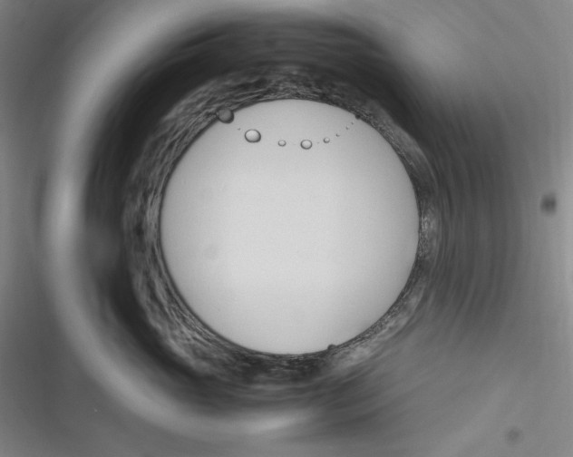 X0000116680765201001111332