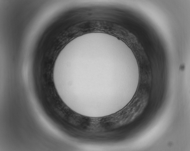 X0000116680766201001111332