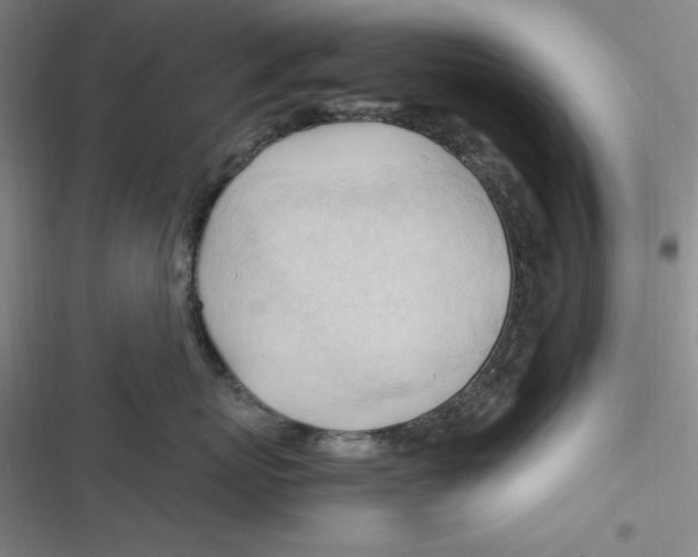 X0000116680767201001111332