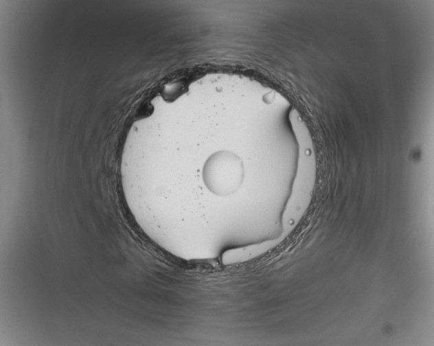 X0000116680769201001111331