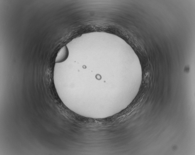 X0000116680772201001111331