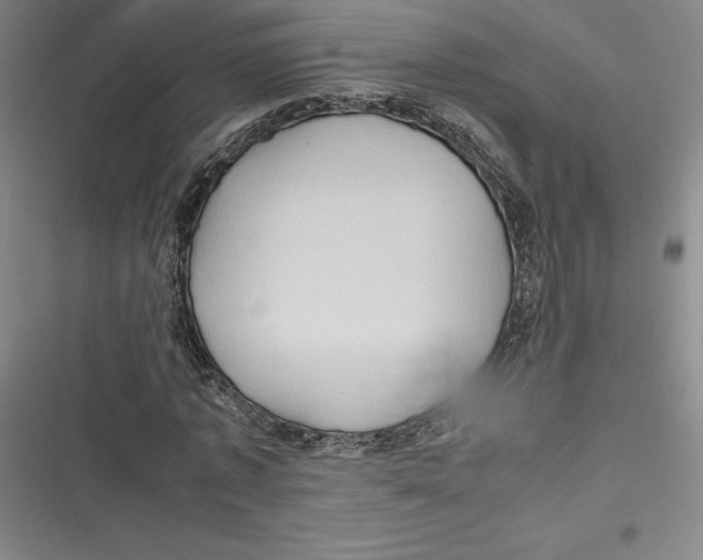 X0000116680773201001111331