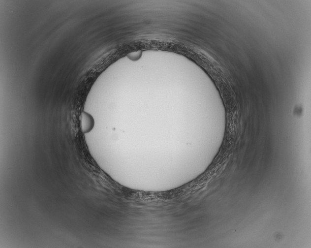 X0000116680774201001111331