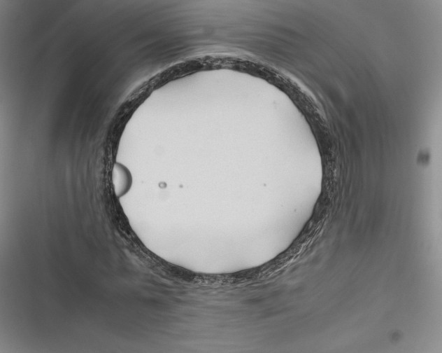 X0000116680775201001111331