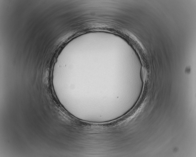 X0000116680777201001111331