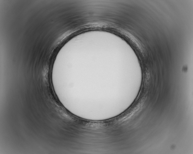 X0000116680778201001111331