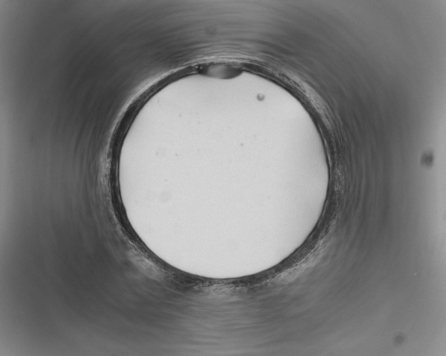 X0000116680779201001111331