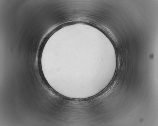 X0000116680780201001111331