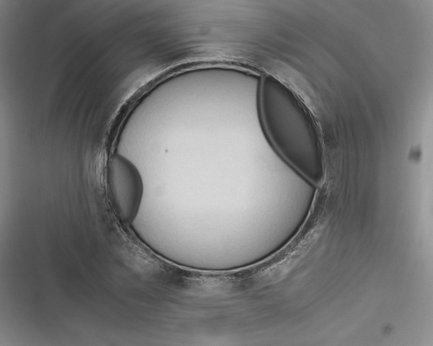 X0000116680781201001111331