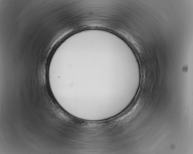 X0000116680782201001111331