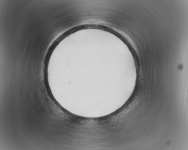 X0000116680783201001111331