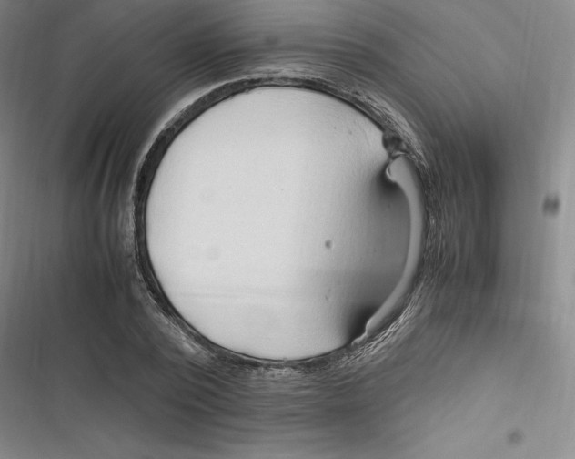 X0000116680784201001111331