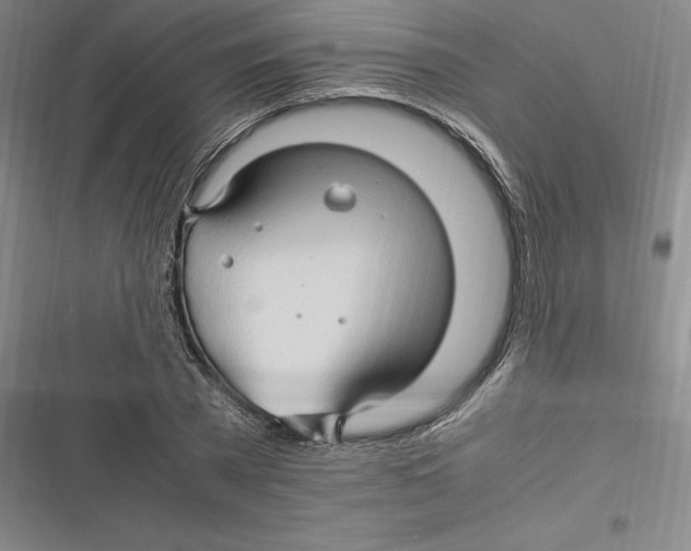 X0000116680785201001111331