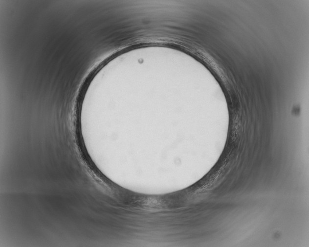 X0000116680787201001111331