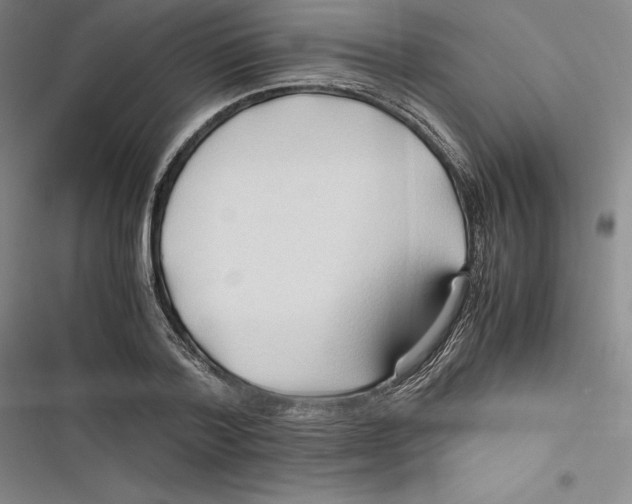 X0000116680788201001111331