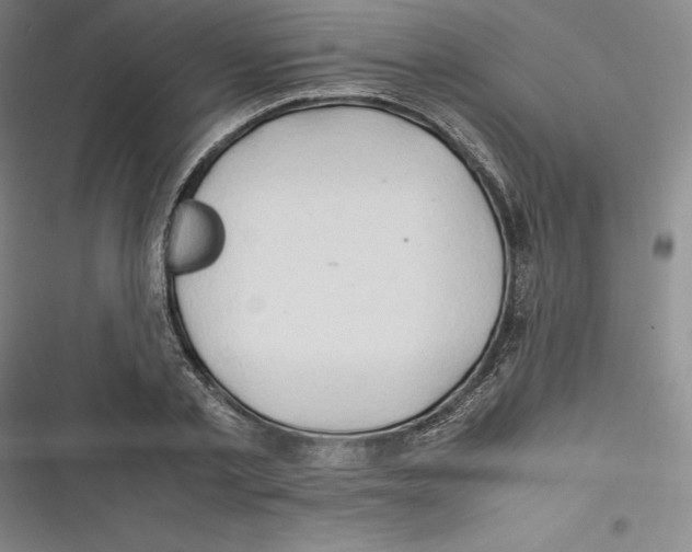 X0000116680789201001111331