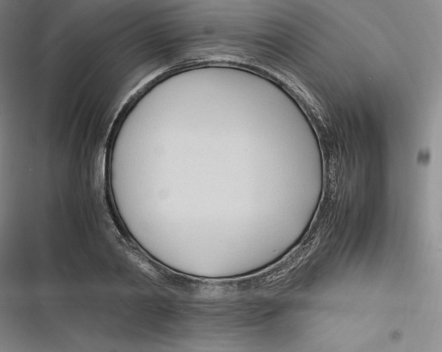 X0000116680790201001111331