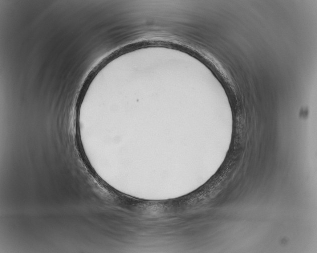 X0000116680791201001111331