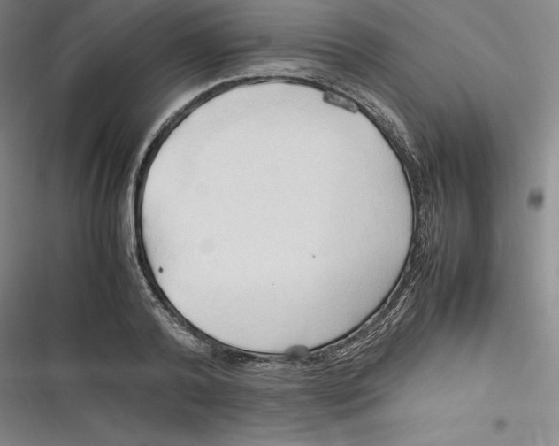 X0000116680792201001111331