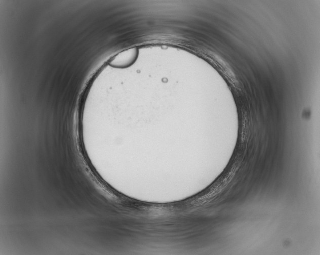 X0000116680796201001111331