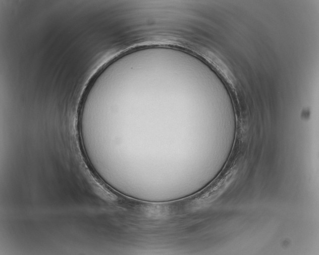 X0000116680797201001111331