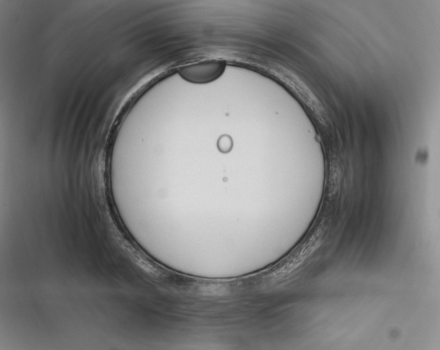 X0000116680798201001111331