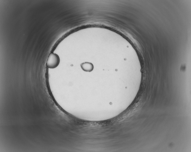 X0000116680799201001111331