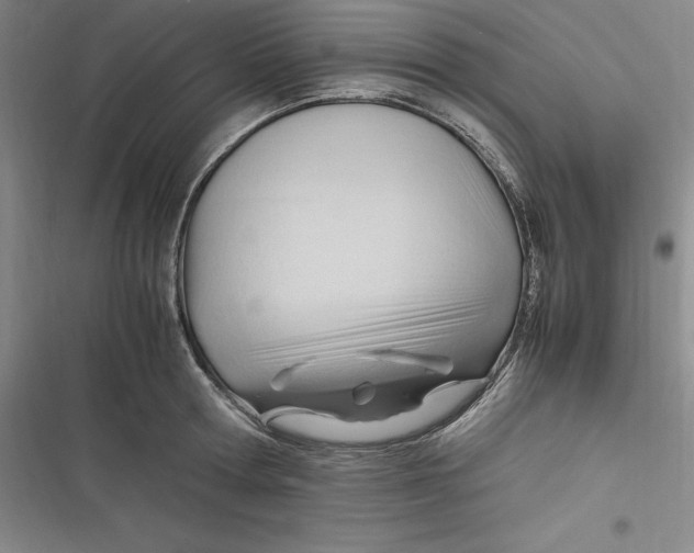 X0000116680802201001111330