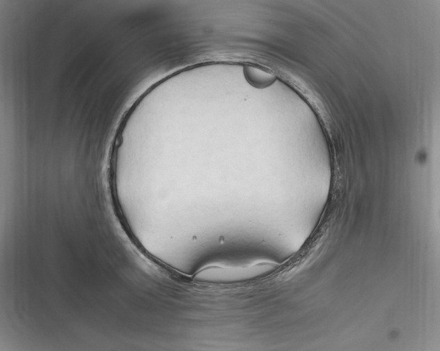 X0000116680803201001111330