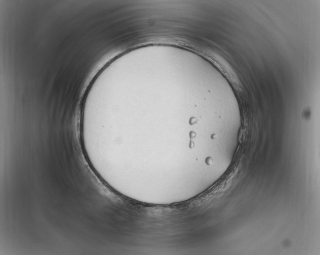 X0000116680804201001111330