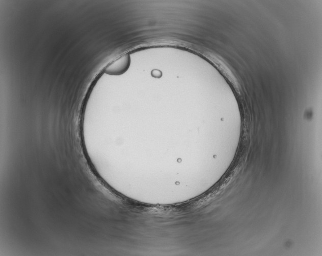 X0000116680805201001111330