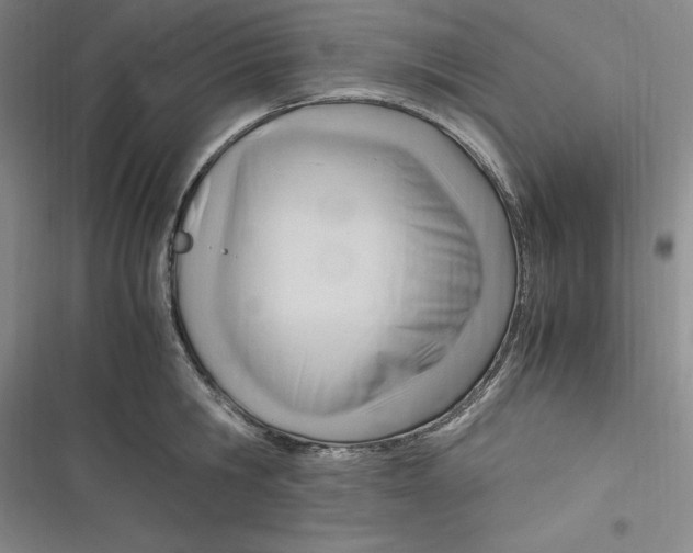 X0000116680806201001111330