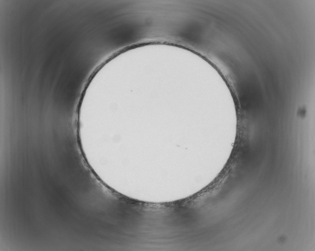 X0000116680807201001111330