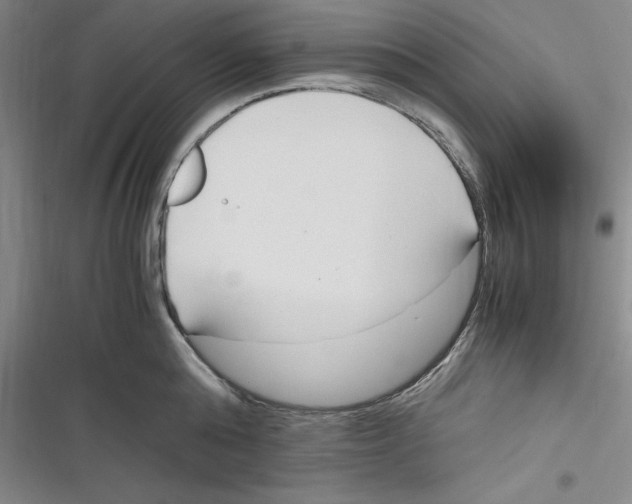 X0000116680808201001111330