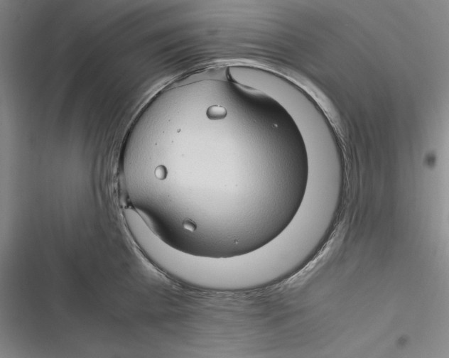 X0000116680809201001111330