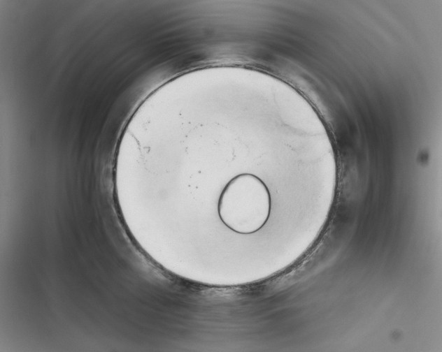 X0000116680810201001111330